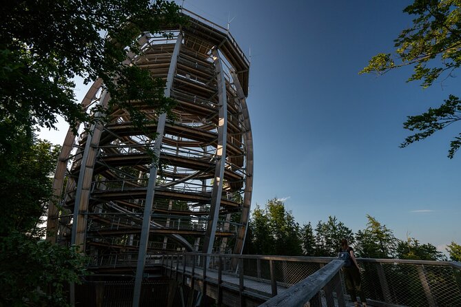 Immersive Private Tour: Hallstatt After the Crowds & Treetop Path - Price and logistics: what $590 per person buys you