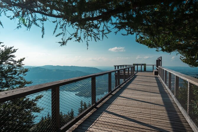 Immersive Private Tour: Hallstatt After the Crowds & Treetop Path - Vienna to the Austrian Lake District, with context built in