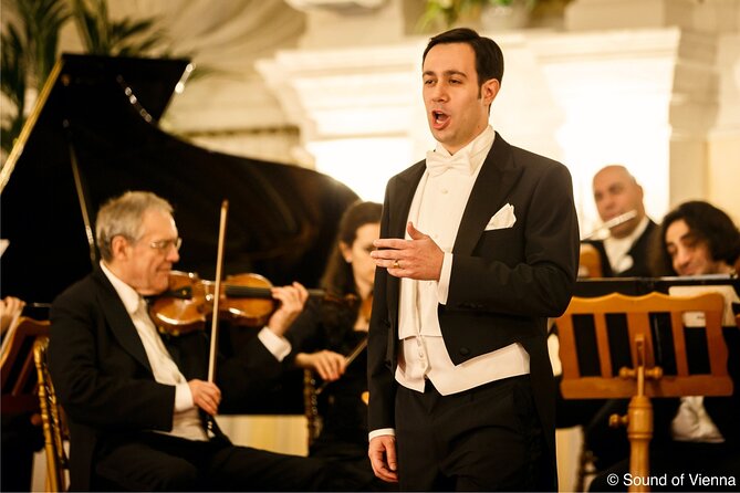 Kursalon Vienna: Strauss and Mozart Concert With Dinner - Potential hiccups: the stuff you should plan for