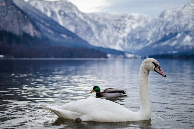 Magical Hallstatt Day Trip from Vienna - Weather matters, because the day is built around it