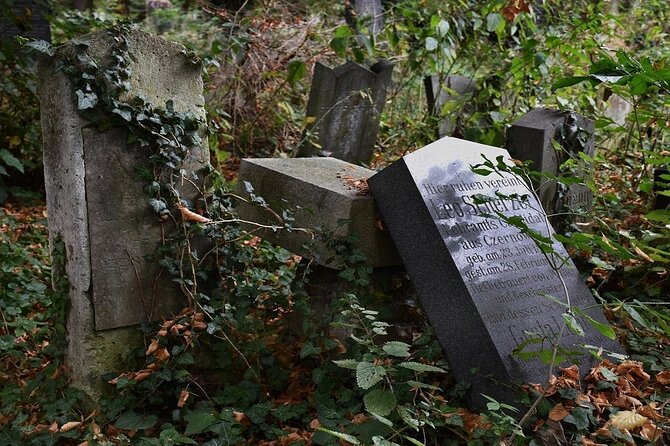 Mobile puzzle rally tour at the Vienna Central Cemetery - Vienna Central Cemetery, but make it a puzzle