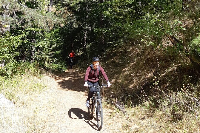 Mountainbike Magic: Vienna's Forest and Fresh Grape Juice - Key things that make this tour work