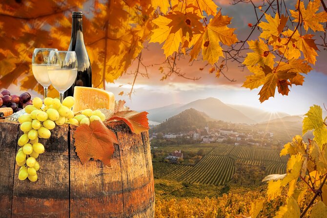 Mountainbike Magic: Vienna's Forest and Fresh Grape Juice - Heuriger Stop: Fresh Grape Juice and Austrian Delicacies