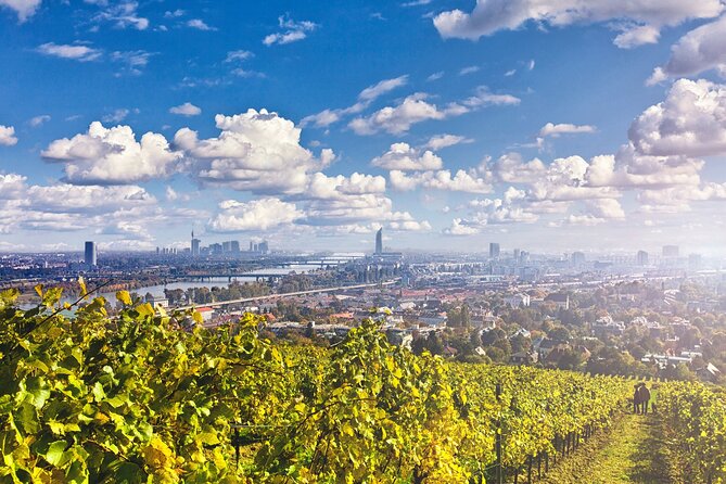 Mountainbike Magic: Vienna's Forest and Fresh Grape Juice - Vienna Region to Klosterneuburg: How the Ride Builds Story, Not Just Distance