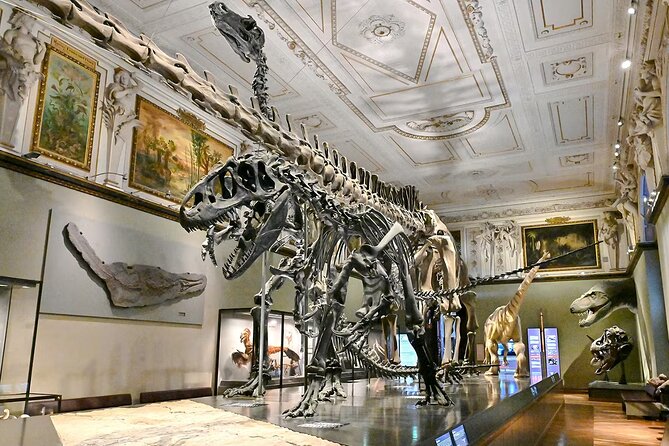 Natural History Museum Vienna Entry Tickets - Stop 1: Museum of Natural History Vienna, where the wow moments hit fast