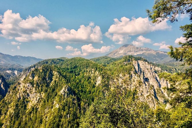 Ötschergräben Grand Canyon of Austria - Price and value: is $378.54 worth it?