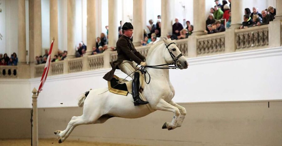 Performance Of The Lipizzans At Spanish Riding School - Lipizzans and why this show fits them so well