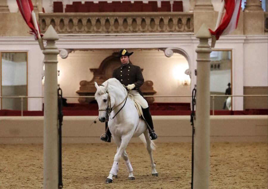 Performance Of The Lipizzans At Spanish Riding School - Gala, Standard, or Tribute to Vienna: picking the right length