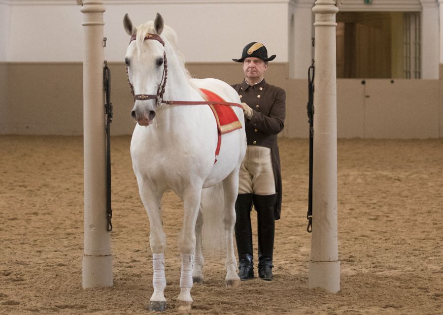 Performance Of The Lipizzans At Spanish Riding School - Where you meet, where you redeem, and what to do before you sit