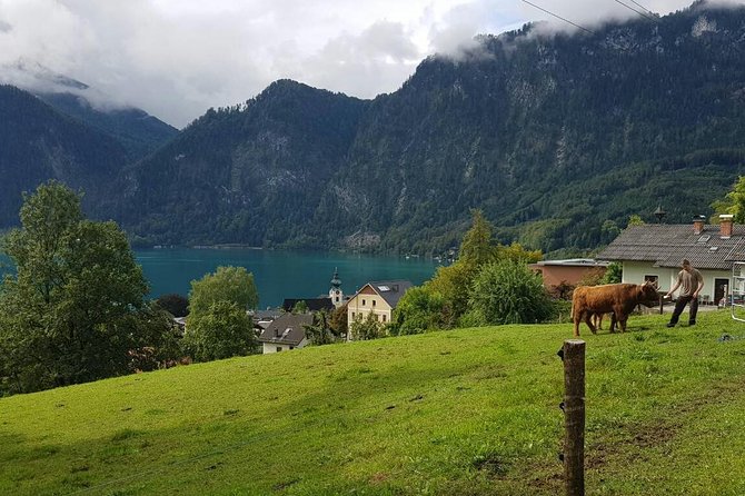 Private Day Trip from Vienna to Hallstatt - Lake Mondsee and St Gilgen: Mozart House and Wolfgang Lake Time