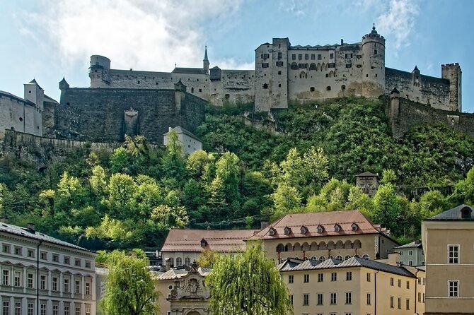 Private Day Trip to Hallstatt and Salzburg from Vienna - Private transport that keeps your day stress-free