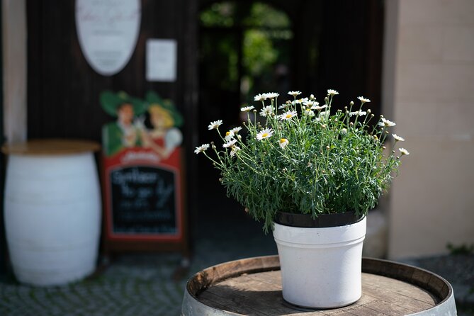 Private Guided Full Day Tour to charming Burgenland region with Wine tasting - What the full-day timing really means for your schedule
