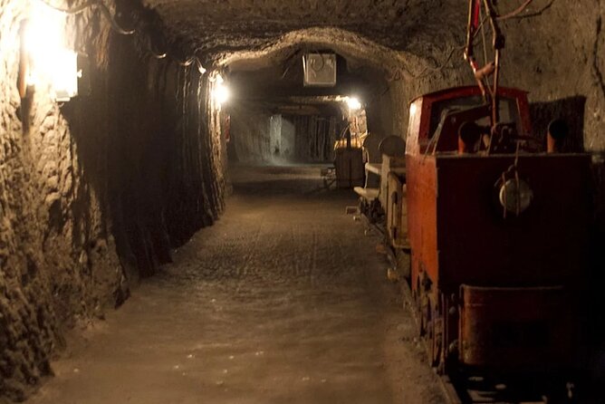 Private guided tour from Vienna to Hallstatt with Skywalk & Salt Mine Experience - Who This Private Vienna to Hallstatt Tour Is For