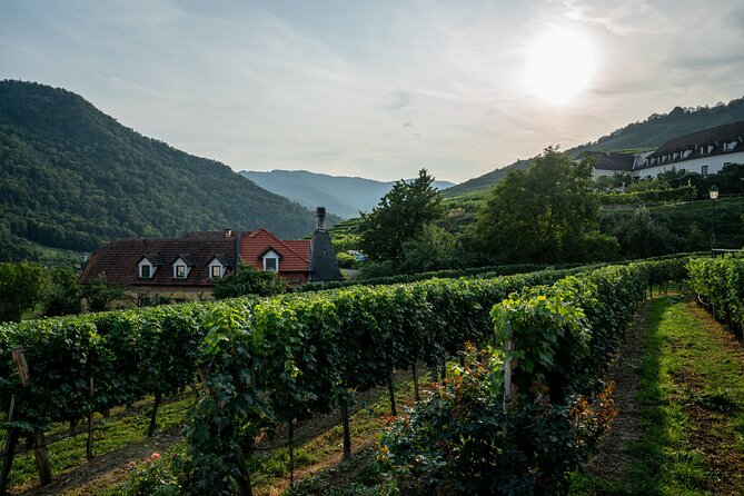 Private Luxury Wine Day: 2000 Years of Austrian Wine in Wachau - Wachau Valley Boutiques: Federspiel vs Smaragd in One Hour