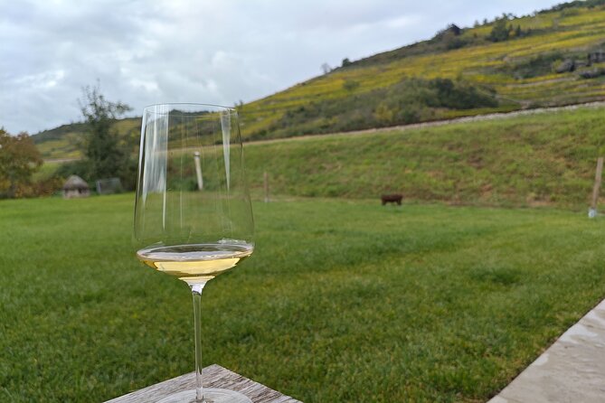 Private Luxury Wine Day: 2000 Years of Austrian Wine in Wachau - Why the Price Works for a Private Day Like This
