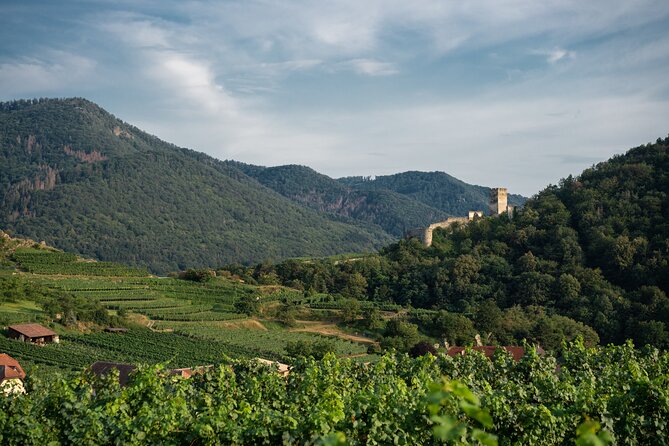 Private Luxury Wine Day: 2000 Years of Austrian Wine in Wachau - Who This Tour Fits Best (and Who Might Prefer Something Else)