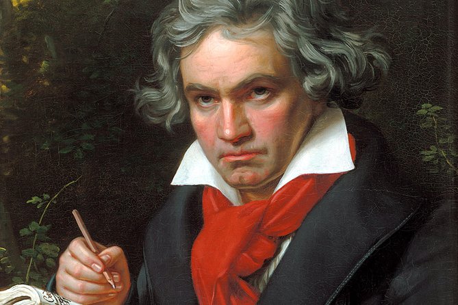 Private Tour of Beethoven's Vienna – Retracing Original Venues with an Expert - Key Points Worth Planning Around