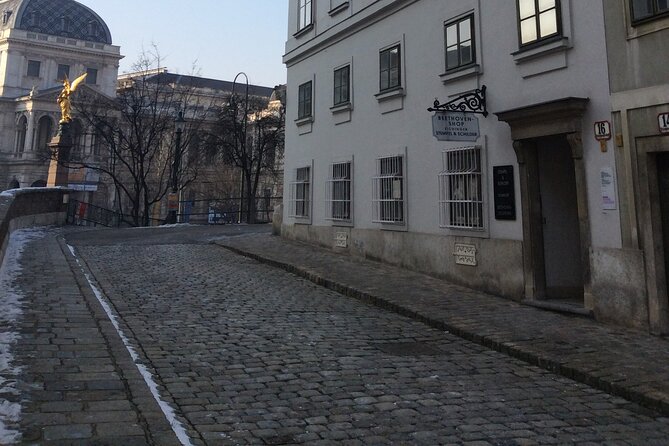 Private Tour of Beethoven's Vienna – Retracing Original Venues with an Expert - How the Private Guide Changes What You Notice