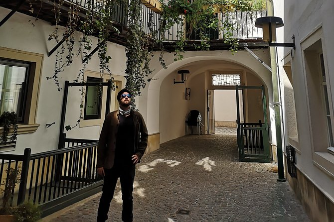 Private tour of historical Vienna with Jan - Hofburg courtyards and the Habsburg patchwork you can read