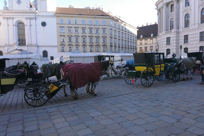 Private Transfer from Venice to Vienna or Vienna to Venice - The sedan vs van choice, and why it affects your comfort