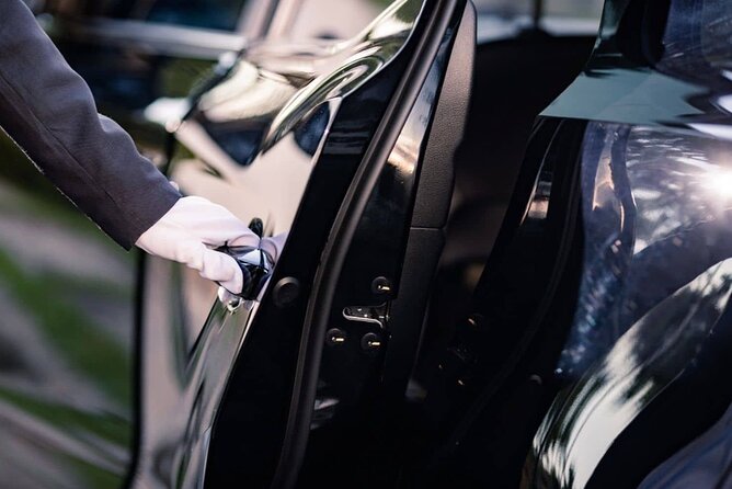 Private Transfer from Vienna City to Vienna Airport (One Way) - Who This Transfer Fits Best In Vienna