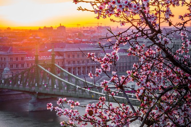 Private Transfer from Vienna to Budapest with 2 hours for sightseeing - Tickets and Meals: What You Need to Plan Yourself