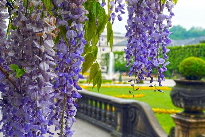 Private transfer from Vienna to Salzburg with 3h Sightseeing stop in Hallstatt - A private Vienna to Salzburg ride with a Hallstatt pause