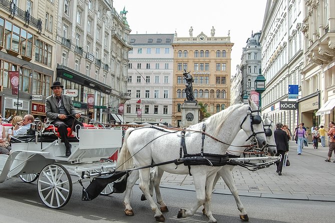 Private Vienna City Tour with Schonbrunn Palace Visit - Key Things That Make This Tour Worth Your Attention