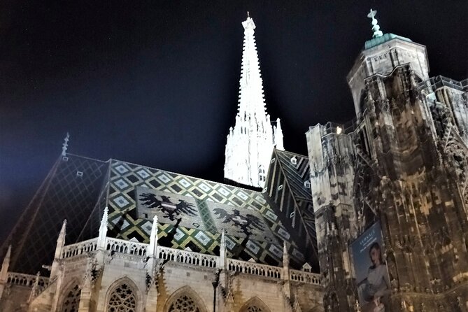 Private Vienna Evening Walk — Orientation for Your First Night - Plague Column: Baroque faith made public