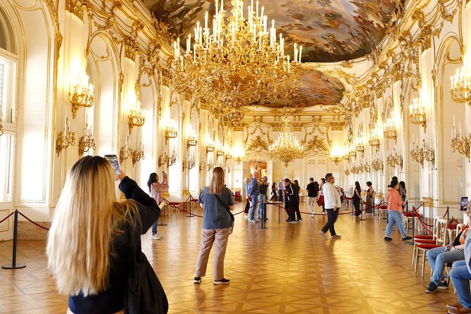 Private Vienna Full-Day Tour with Schönbrunn Palace Entry & Lunch - Key highlights I’d plan around