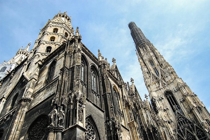 Private Vienna Historical Landmarks Tour - Kahlenberg and Danube Tower: best views without the full hike budget