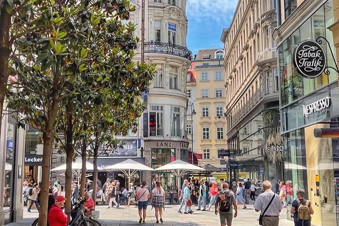 Private Vienna Walking Tour with Private Local Guide - Mozart area to Vienna State Opera: music vibes without needing a ticket