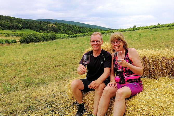 Private Vienna Woods Wine Tour - Why the private guide format matters on wine days