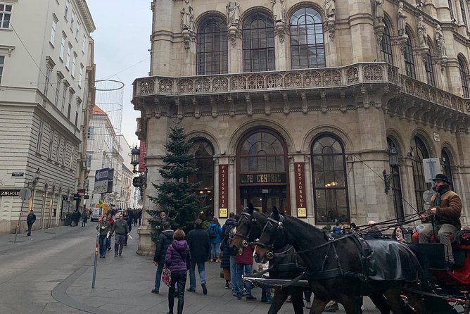 Private World War II Walking Tour in Vienna - Karl Lueger Monument and St Stephen’s Cathedral to close the loop