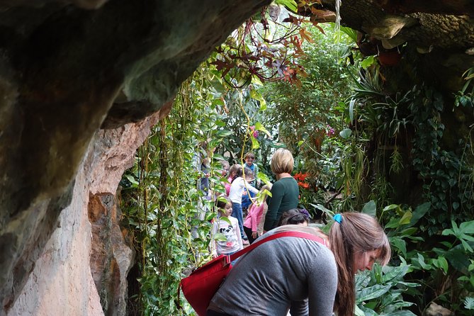 Schmetterlinghaus - Imperial Butterfly House Vienna Admission Ticket - Butterfly-Watching Etiquette: Photos, Space, and Patience