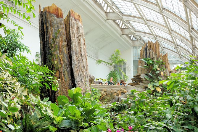 Schmetterlinghaus - Imperial Butterfly House Vienna Admission Ticket - How Long You Should Plan, and Why Crowds Matter More Here