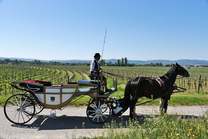 Sparkling carriage ride through Krems and the Wachau vineyards - Key highlights in plain language