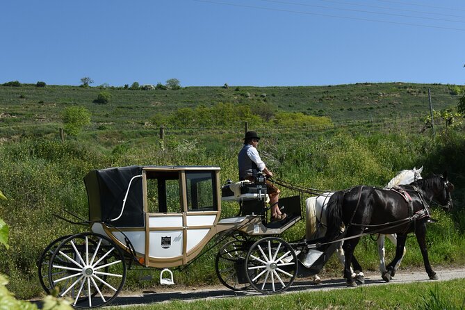 Sparkling carriage ride through Krems and the Wachau vineyards - The full route: old-town Krems, then quiet Wachau vineyards