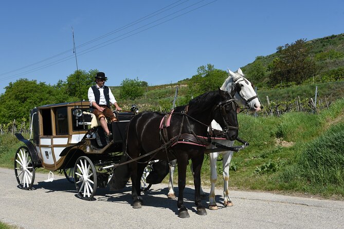 Sparkling carriage ride through Krems and the Wachau vineyards - Price in perspective for a couple: $346.02 per group up to 2