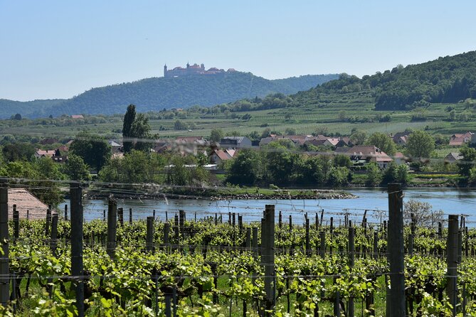 Sparkling carriage ride through Krems and the Wachau vineyards - Where you meet in Krems an der Donau, and why it helps