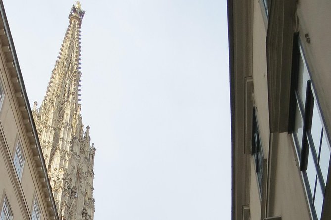 St. Stephen's cathedral - old symbol newly discovered - Key highlights to look for