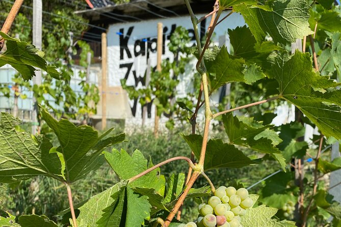 Taste and Tour Small Organic Wineries with a Winemaker - The highlights I’d plan my trip around