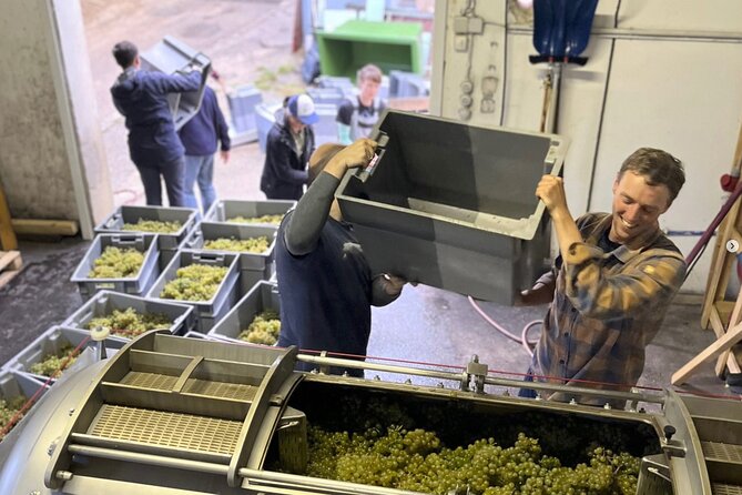 Taste and Tour Small Organic Wineries with a Winemaker - Price and what makes the $114.02 feel like value