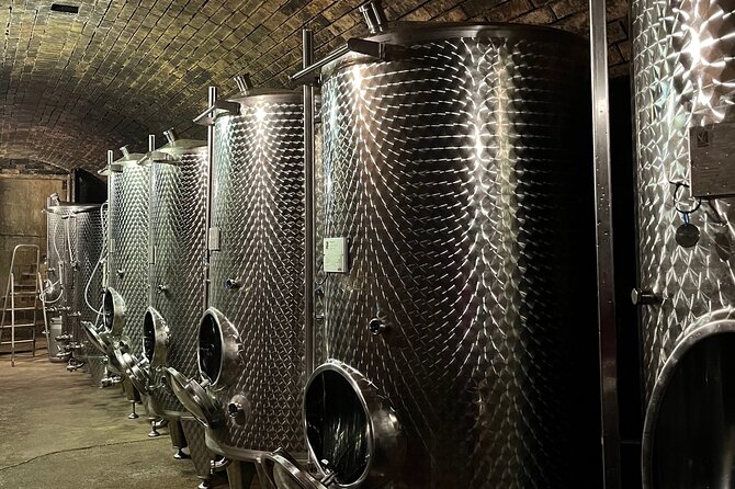 Taste and Tour Small Organic Wineries with a Winemaker - Stop 2 at Mantlerhof: family history meets organic Grüner Veltliner