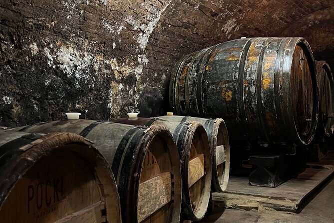 Taste and Tour Small Organic Wineries with a Winemaker - Stop 3 in Schoenberg am Kamp: Feldtheorie and Kamptal identity