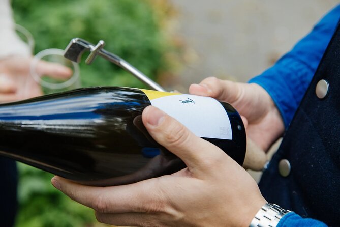 Taste and Tour Small Organic Wineries with a Winemaker - Stop 4 in Langenlois: WeinSchach and Pet Nat sparkling experiments
