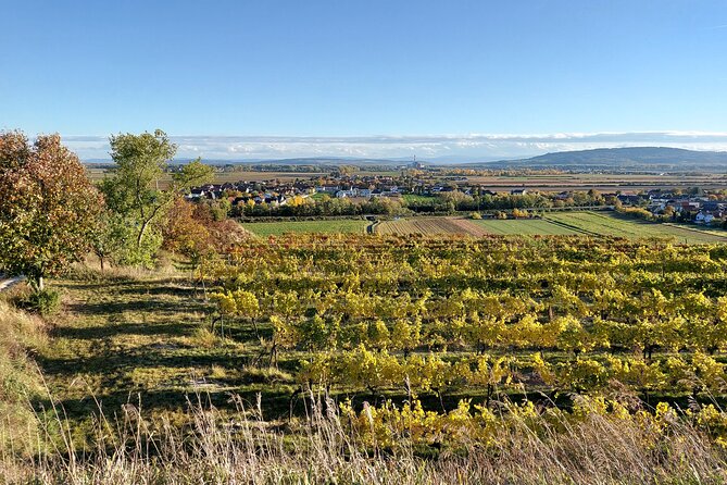 Taste and Tour Small Organic Wineries with a Winemaker - What you’ll learn about sustainable wine, in plain terms