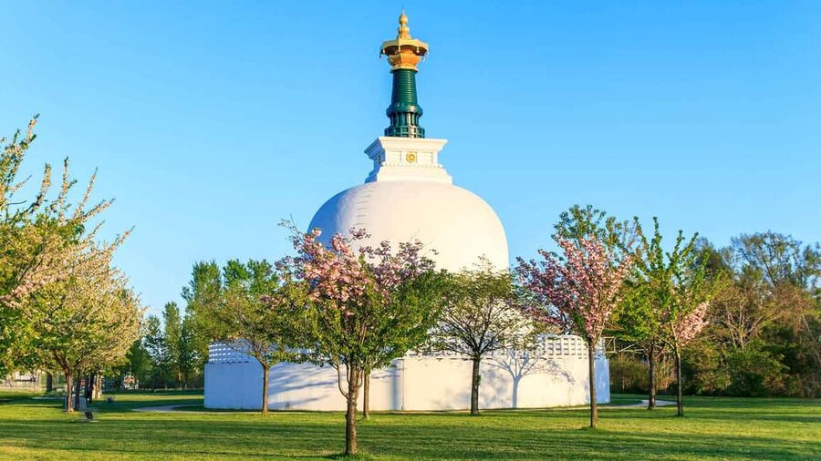 Vienna: 2-hour Danube Panorama Tour - Quick planning tips so you enjoy it more