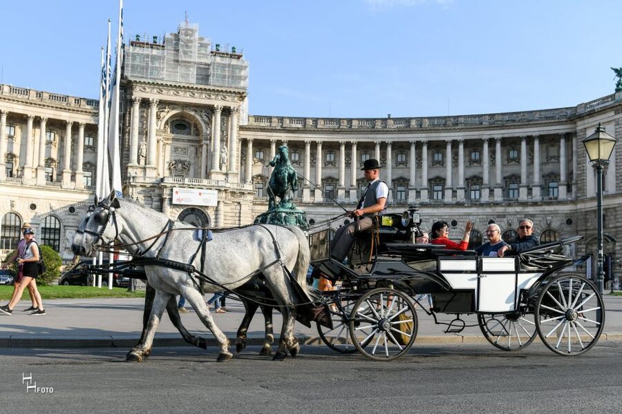 Vienna: 30-Minute Fiaker Ride in the Old Town - Where You Start: St. Stephen’s Cathedral vs. Michaelerplatz