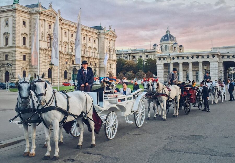 Vienna: 30-Minute Fiaker Ride in the Old Town - Hofburg in Motion: What Makes the Imperial Centers Work From a Carriage